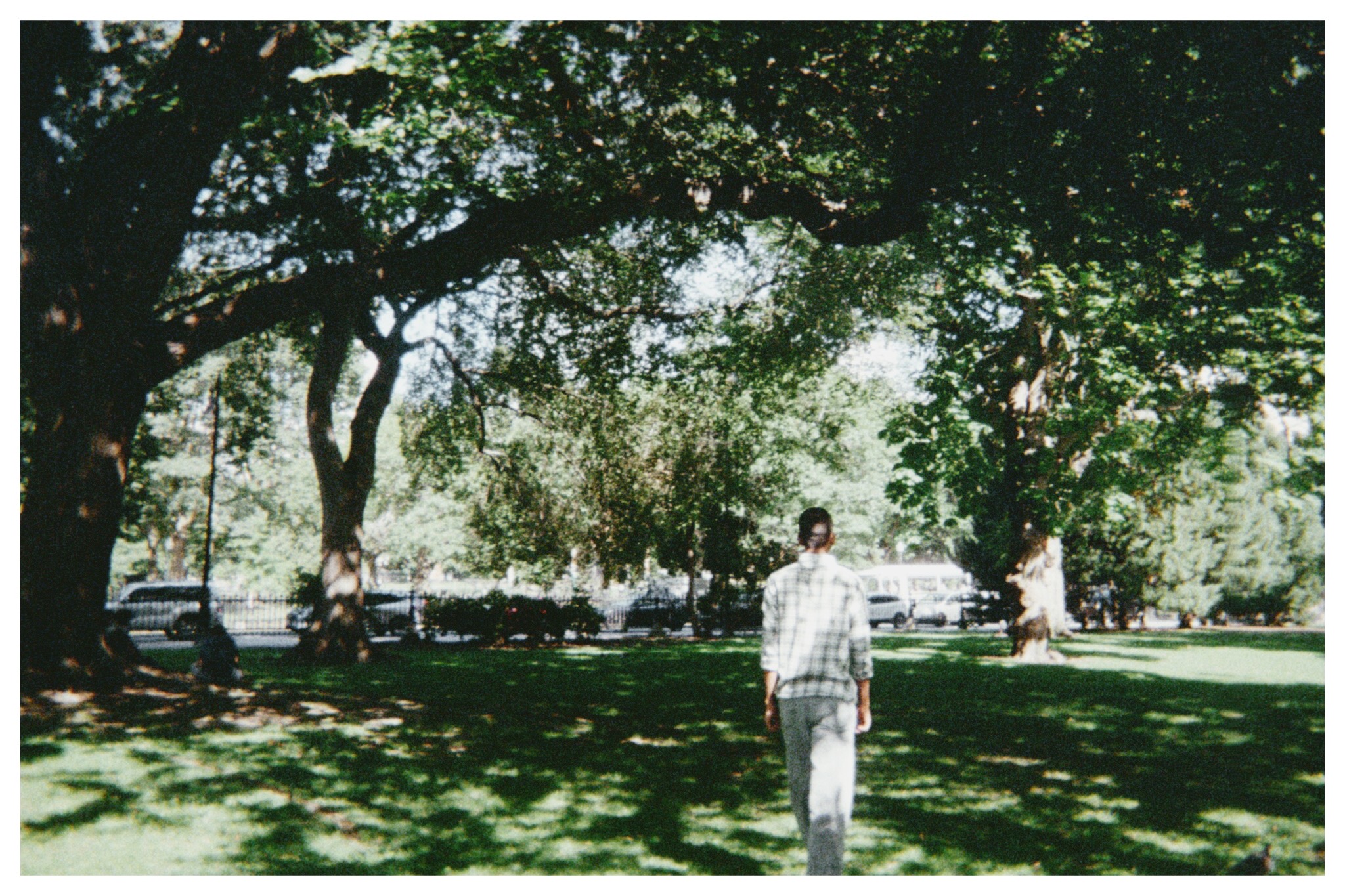Walking under the trees in the park