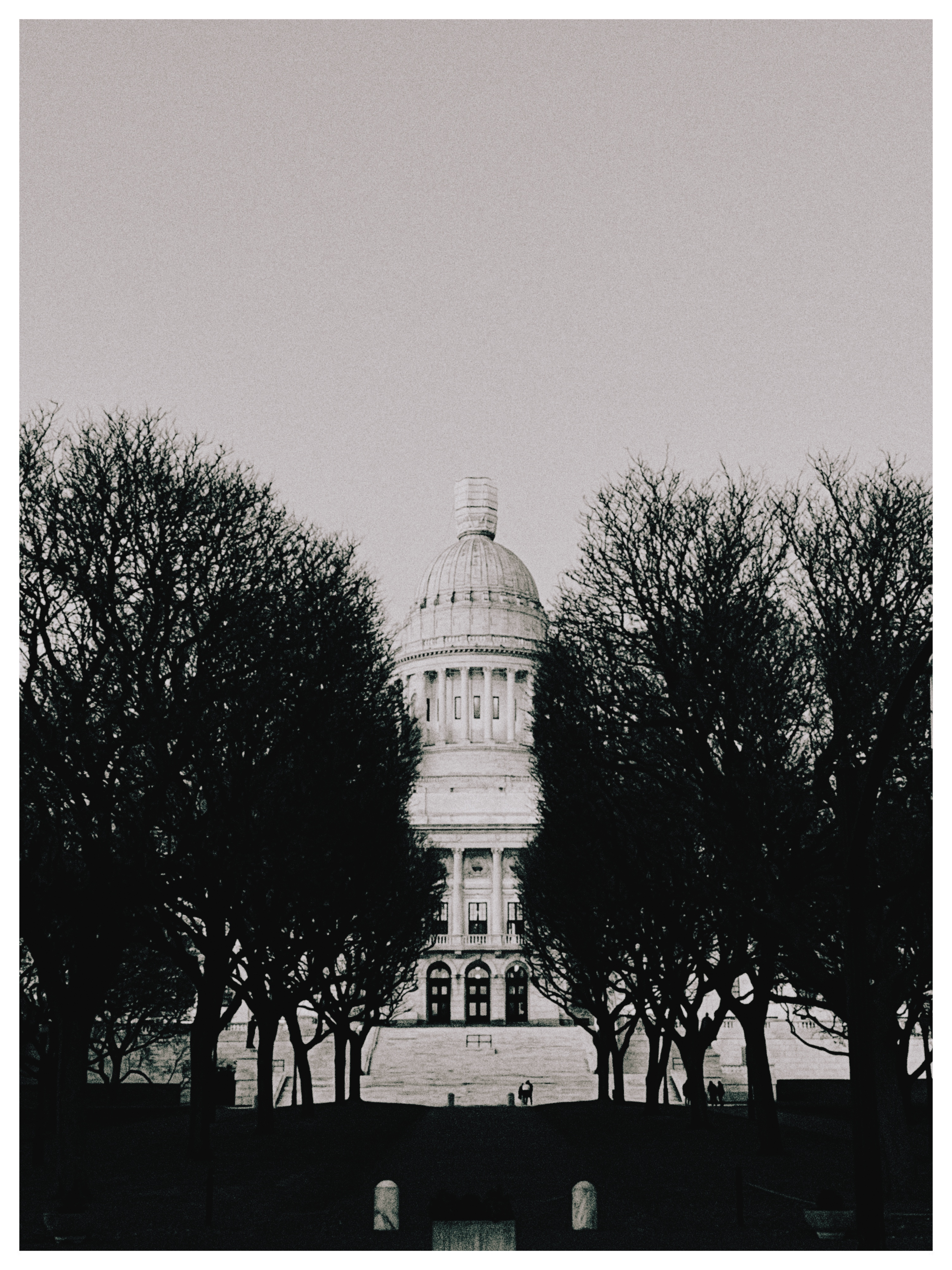 The Rhode Island State House through bare trees